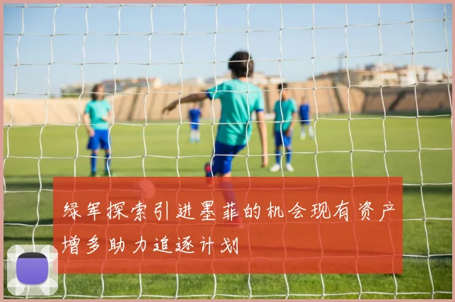 绿军探索引进墨菲的机会现有资产增多助力追逐计划
